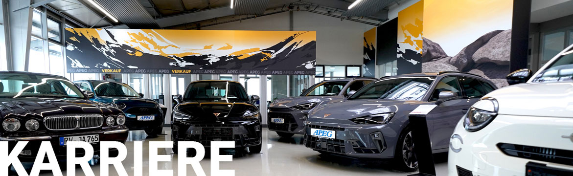 Allgemeine Geschäftsbedingungen